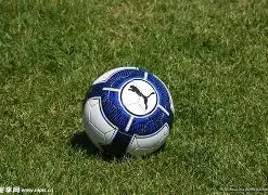 大连英博虽,败犹荣,主场激情点,ag,AG平台,AG官网,AG真人,ag百家乐,PA真人