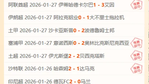 《太阳报》揭秘：贝林荣耀返乡，母亲爱侣同行抵达马德里