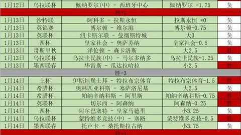 麦卡利斯特赛前训练复出，小基耶萨缺席