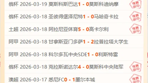 大乐透期号专家推荐：塞曼巴东vs万隆印尼超质合分析